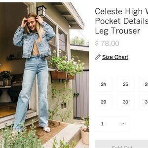 Judy Blue high waist wide leg trouser